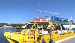 Yellow Catamarans